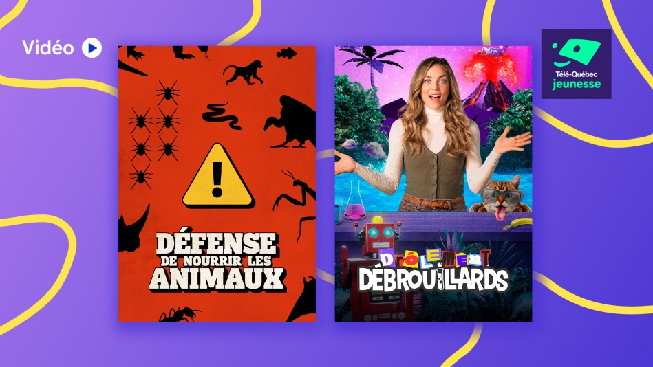 Drôlement débrouillards et Défense de nourrir les animaux : entre fous rires et découvertes!