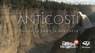 ANTICOSTI : s’immiscer dans la grandeur