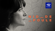 Télé-Québec – Nid-de-poule